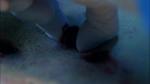 503redtape_0385.jpg