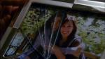513thelife_461.jpg