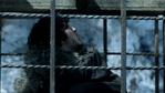 103lordsnow_0932.jpg